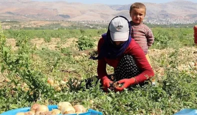 Mevsimlik tarım işçileri ve ailelerine yönelik çalışmalar için genelge yayımlandı