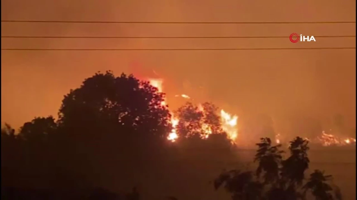 Antalya’da orman yangını