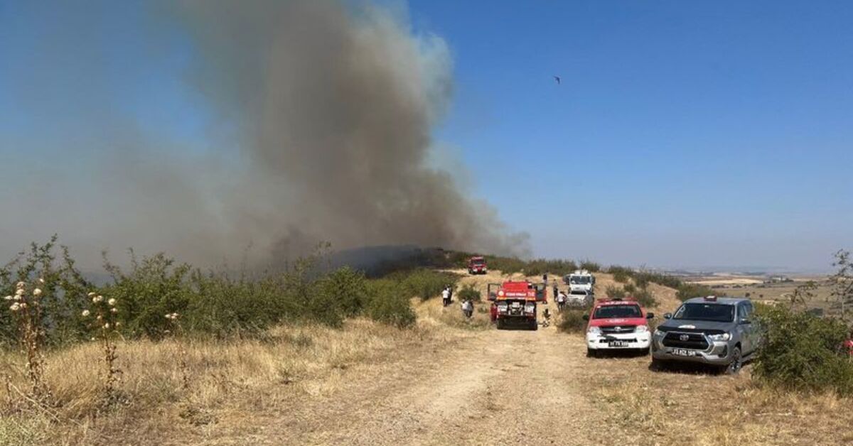 Edirne’de çıkan orman yangını söndürüldü