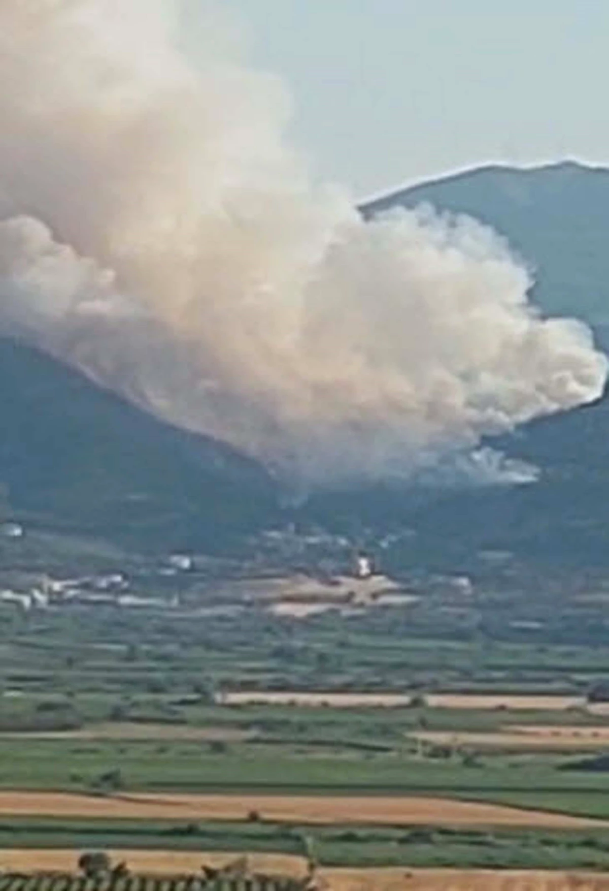 Manisa’da Orman Yangını Çıktı